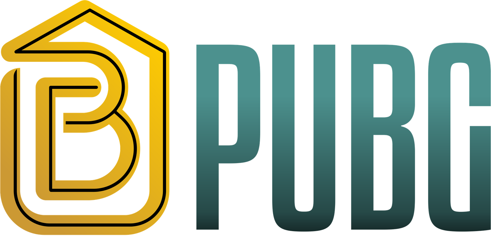 PT Putra Bungsu Gemilang